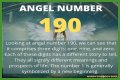 
ANGEL NUMBER 190
