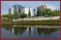 Downtown Fairbanks: What to See & Do
