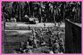 WWII's Most Daring Raids - Smithsonian Channel